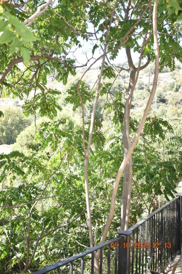 Valle De La Calma - Apartamentos Rurales De Mecina 格拉纳达 外观 照片